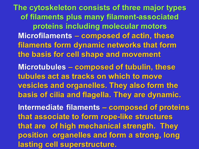 The cytoskeleton consists of three major types  of filaments plus many filament-associated 